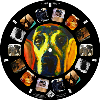 A dog rescue highlights boxers on a custom reel