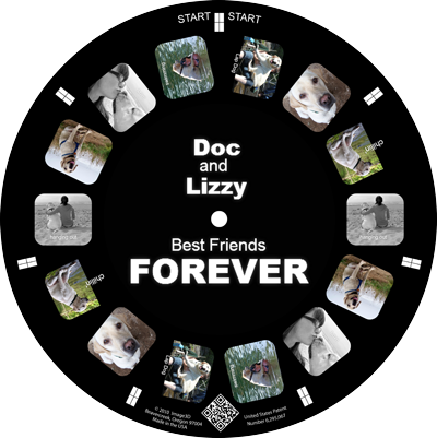 Dogs are a persons best friend. Make a keepsake reel of your pup